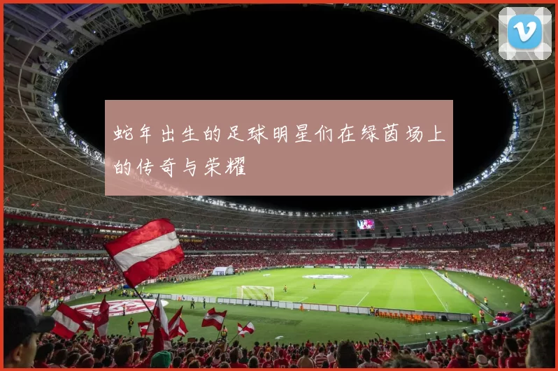 蛇年出生的足球明星们在绿茵场上的传奇与荣耀