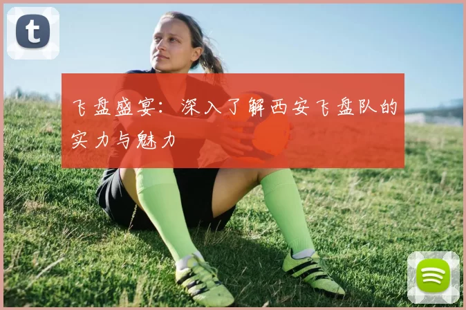 飞盘盛宴：深入了解西安飞盘队的实力与魅力