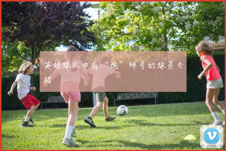 英超球队中有“炮”绰号的球员介绍