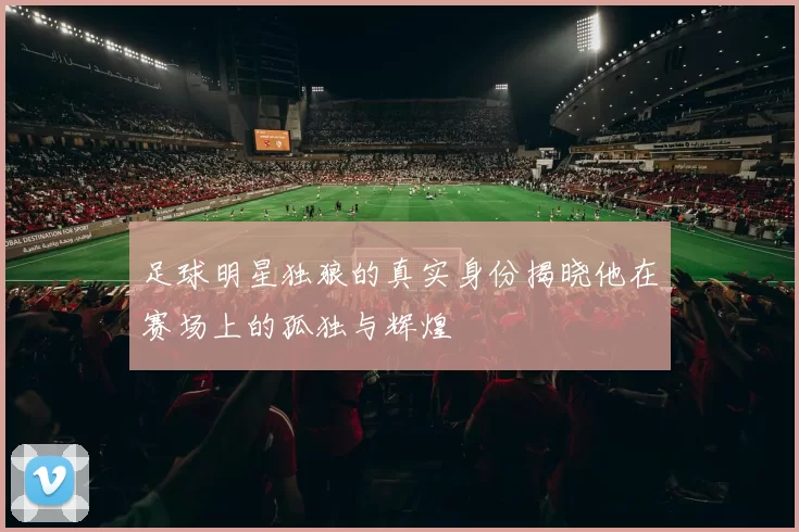 足球明星独狼的真实身份揭晓他在赛场上的孤独与辉煌