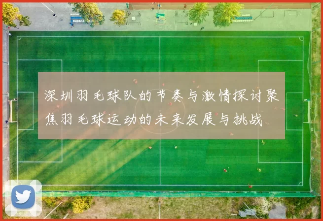 深圳羽毛球队的节奏与激情探讨聚焦羽毛球运动的未来发展与挑战