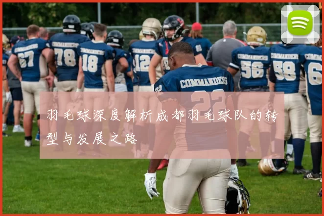 羽毛球深度解析成都羽毛球队的转型与发展之路