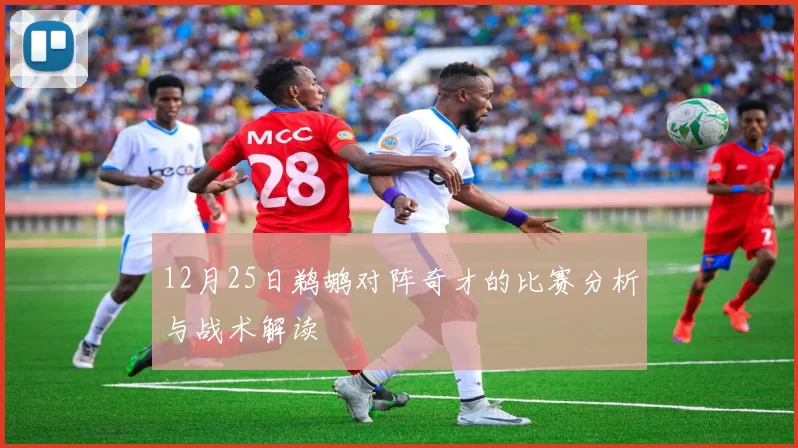 12月25日鹈鹕对阵奇才的比赛分析与战术解读