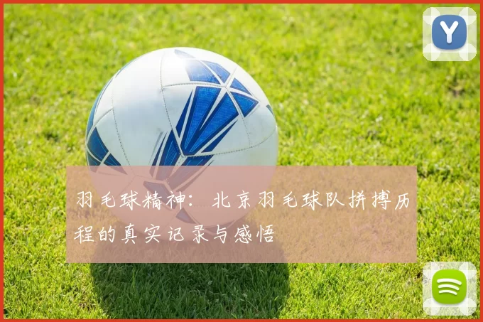 羽毛球精神：北京羽毛球队拼搏历程的真实记录与感悟