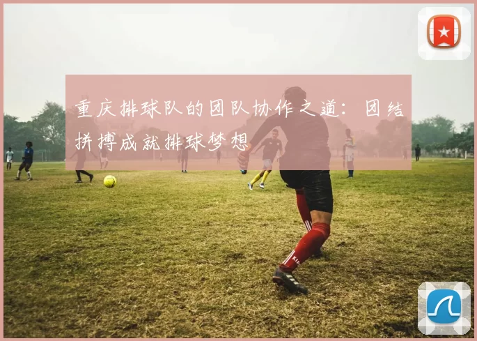 重庆排球队的团队协作之道：团结拼搏成就排球梦想