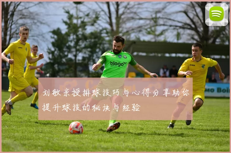 刘敏亲授排球技巧与心得分享助你提升球技的秘诀与经验