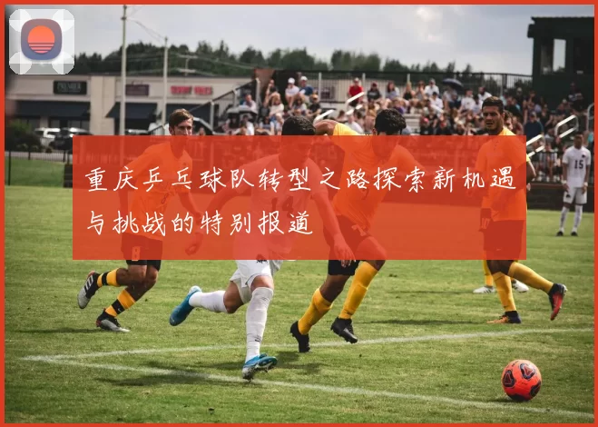 重庆乒乓球队转型之路探索新机遇与挑战的特别报道