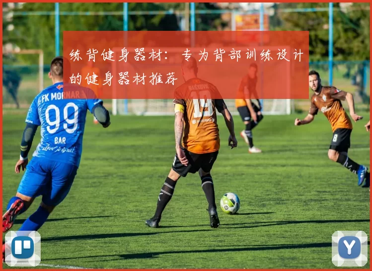 练背健身器材：专为背部训练设计的健身器材推荐