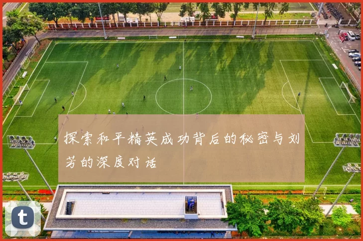 探索和平精英成功背后的秘密与刘芳的深度对话