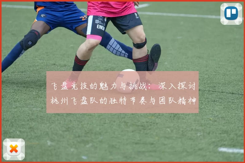 飞盘竞技的魅力与挑战：深入探讨杭州飞盘队的独特节奏与团队精神