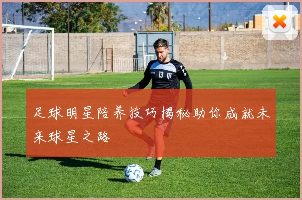 足球明星陪养技巧揭秘助你成就未来球星之路