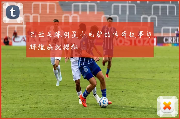 巴西足球明星小毛驴的传奇故事与辉煌成就揭秘