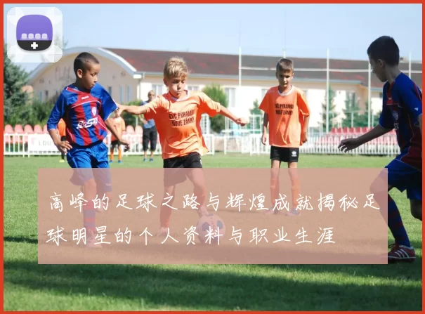 高峰的足球之路与辉煌成就揭秘足球明星的个人资料与职业生涯