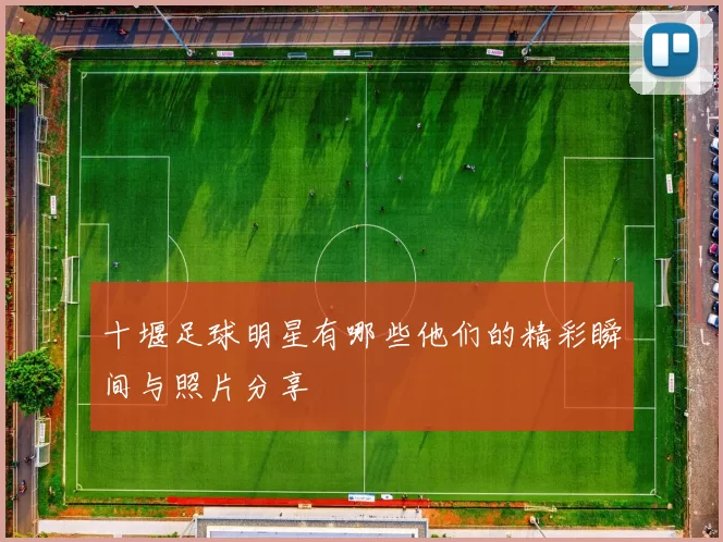 十堰足球明星有哪些他们的精彩瞬间与照片分享