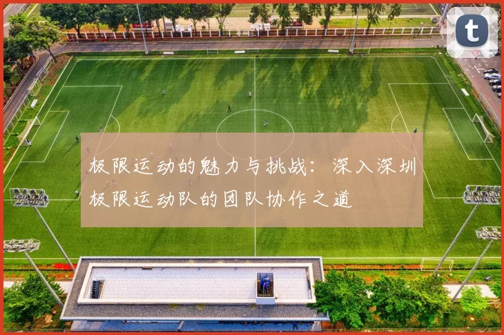 极限运动的魅力与挑战：深入深圳极限运动队的团队协作之道