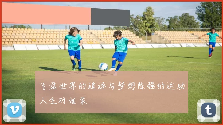 飞盘世界的追逐与梦想陈强的运动人生对话录