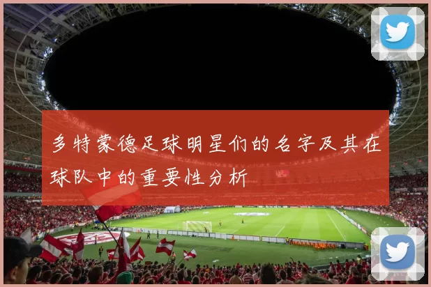 多特蒙德足球明星们的名字及其在球队中的重要性分析