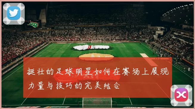 挺壮的足球明星如何在赛场上展现力量与技巧的完美结合