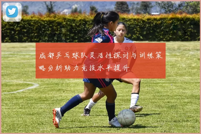 成都乒乓球队灵活性探讨与训练策略分析助力竞技水平提升