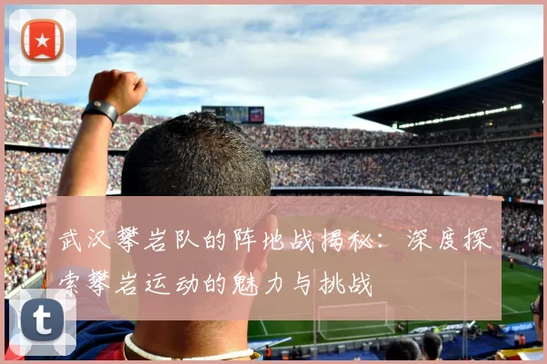 武汉攀岩队的阵地战揭秘：深度探索攀岩运动的魅力与挑战