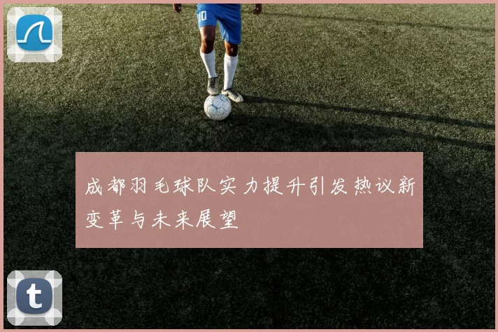 成都羽毛球队实力提升引发热议新变革与未来展望