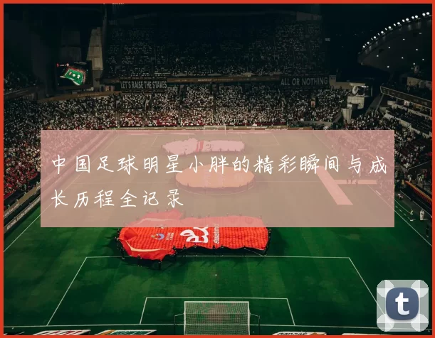 中国足球明星小胖的精彩瞬间与成长历程全记录
