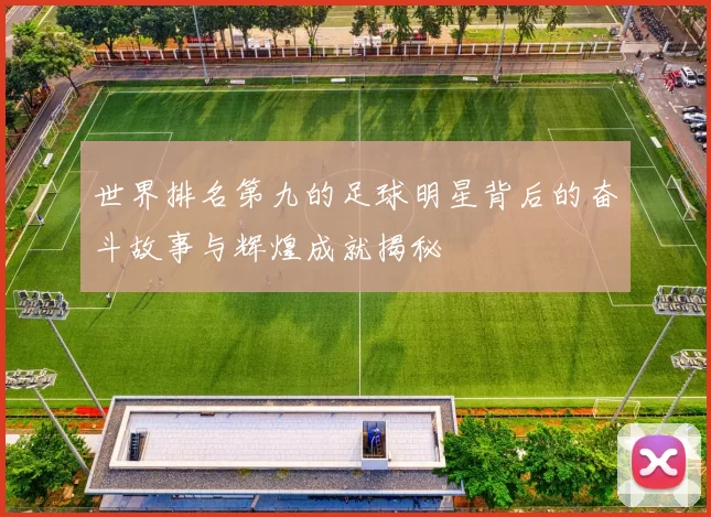 世界排名第九的足球明星背后的奋斗故事与辉煌成就揭秘