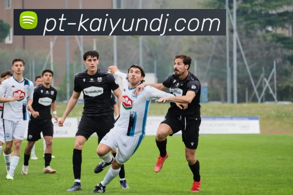 开云APP 体育赛事宣传图